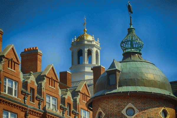 Applying to the Ivy League: Advice from a Harvard University Alumnus